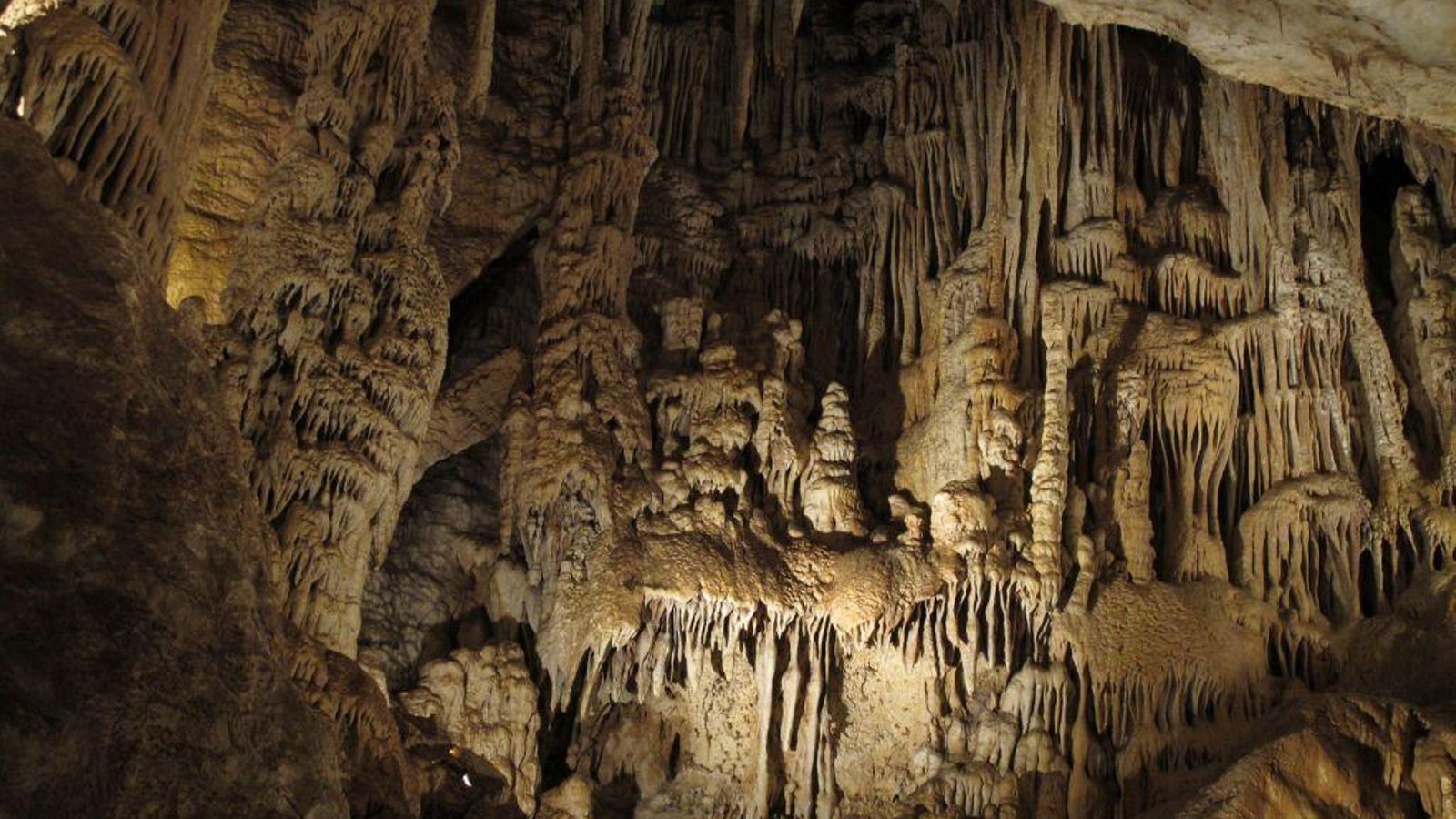 Cueva de los murciélagos