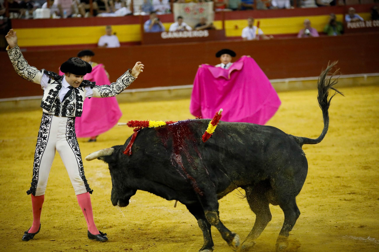 Imágenes de la corrida de toros en Roquetas de Mar