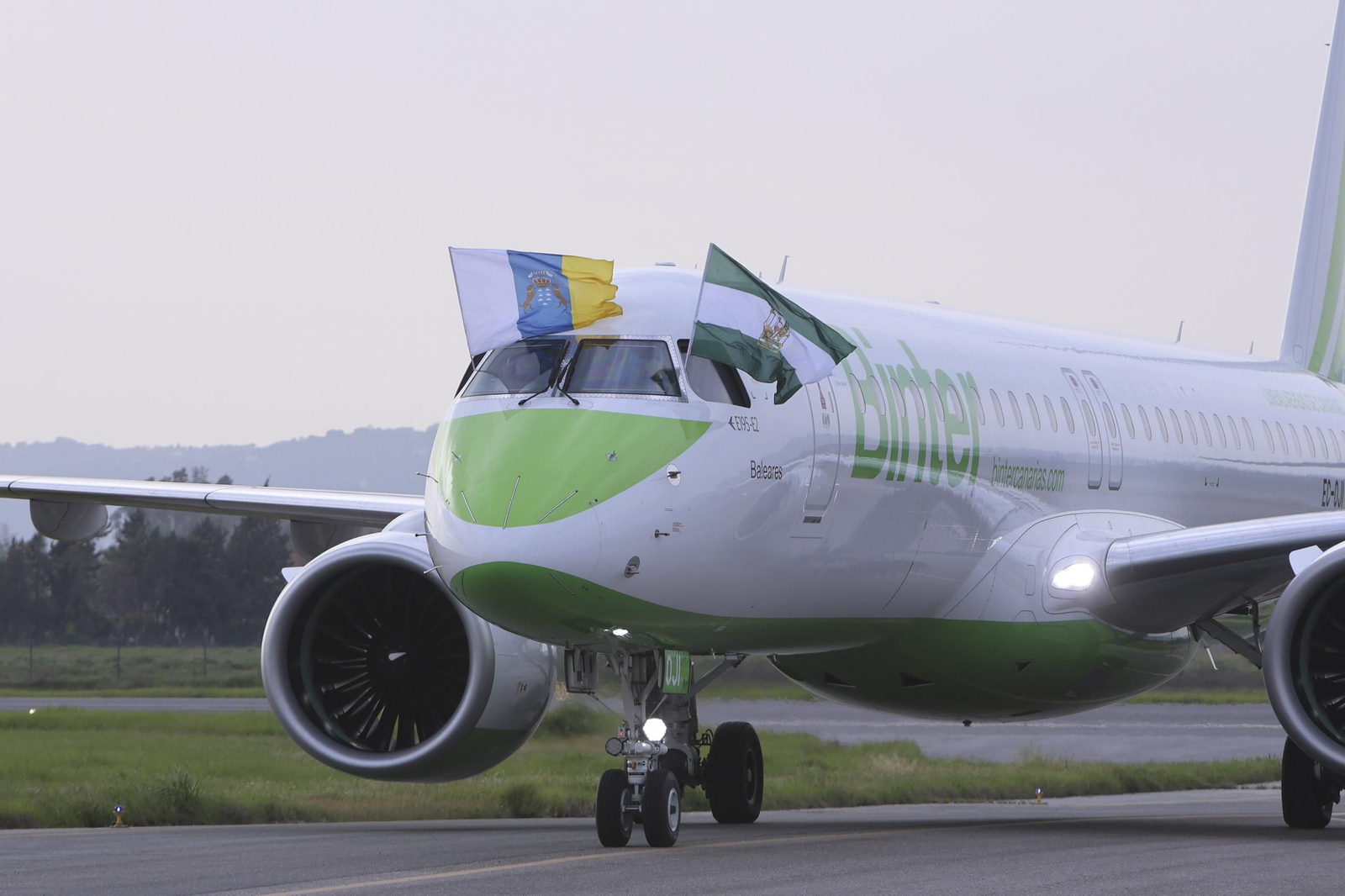 Avión de Binter con las banderas de Canarias y Andalucía