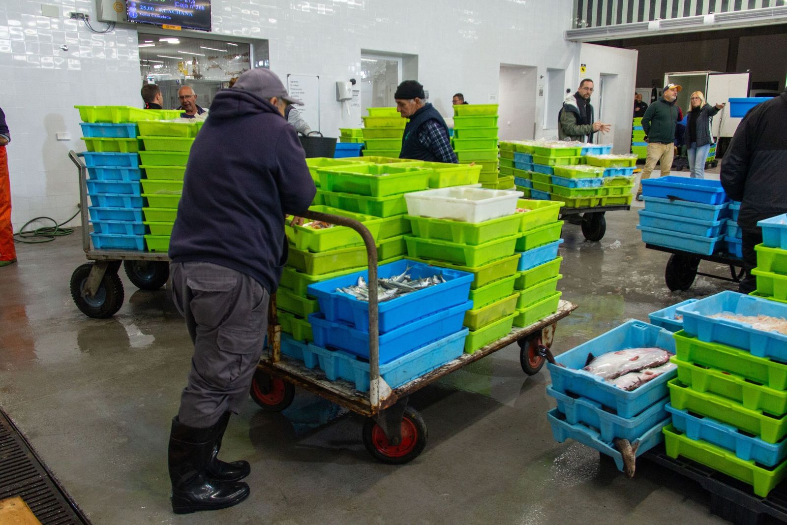 Pescadores en la lonja de Motril tras un día de faena