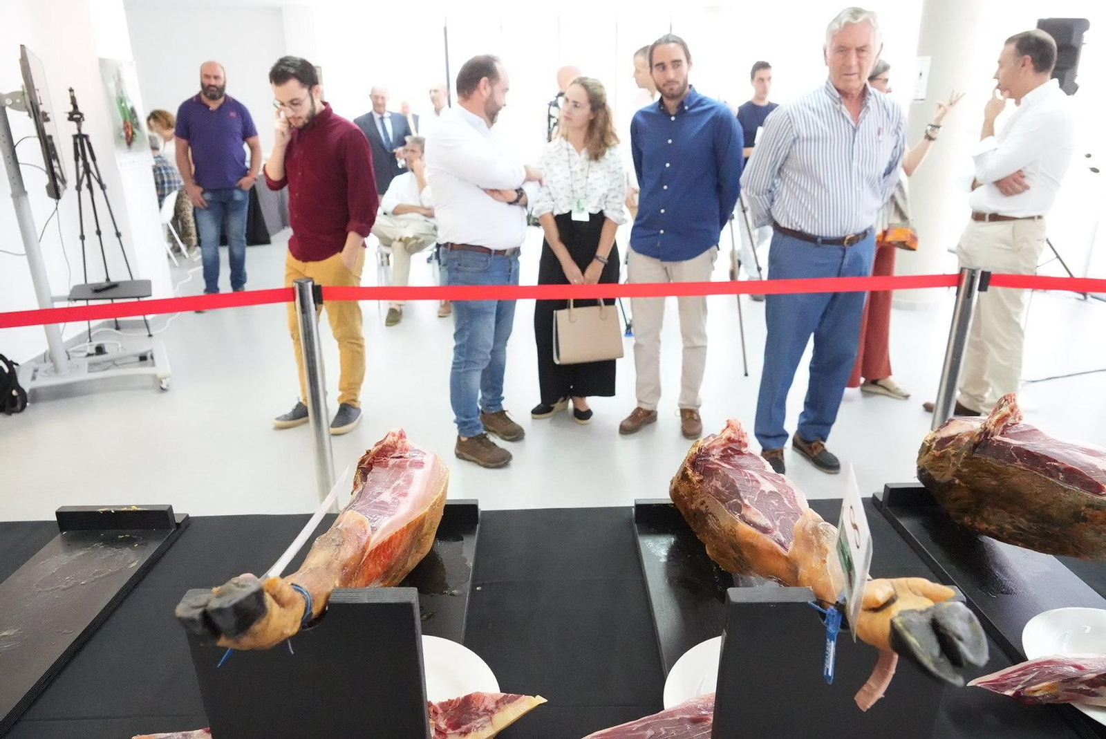 El concurso al mejor jamón de bellota 100% ibérico de Los Pedroches, en imágenes