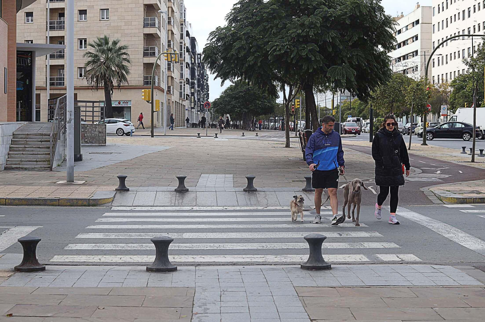 Imágenes del lunes 16 de enero en Huelva
