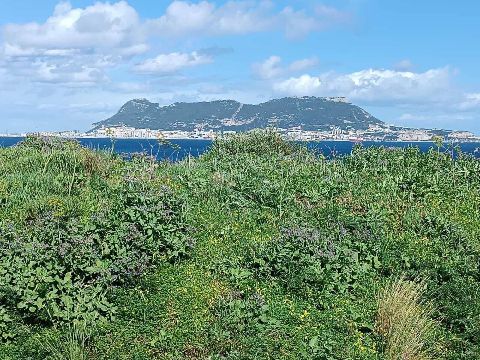 El Parque del Centenario rebosa de colores en primavera