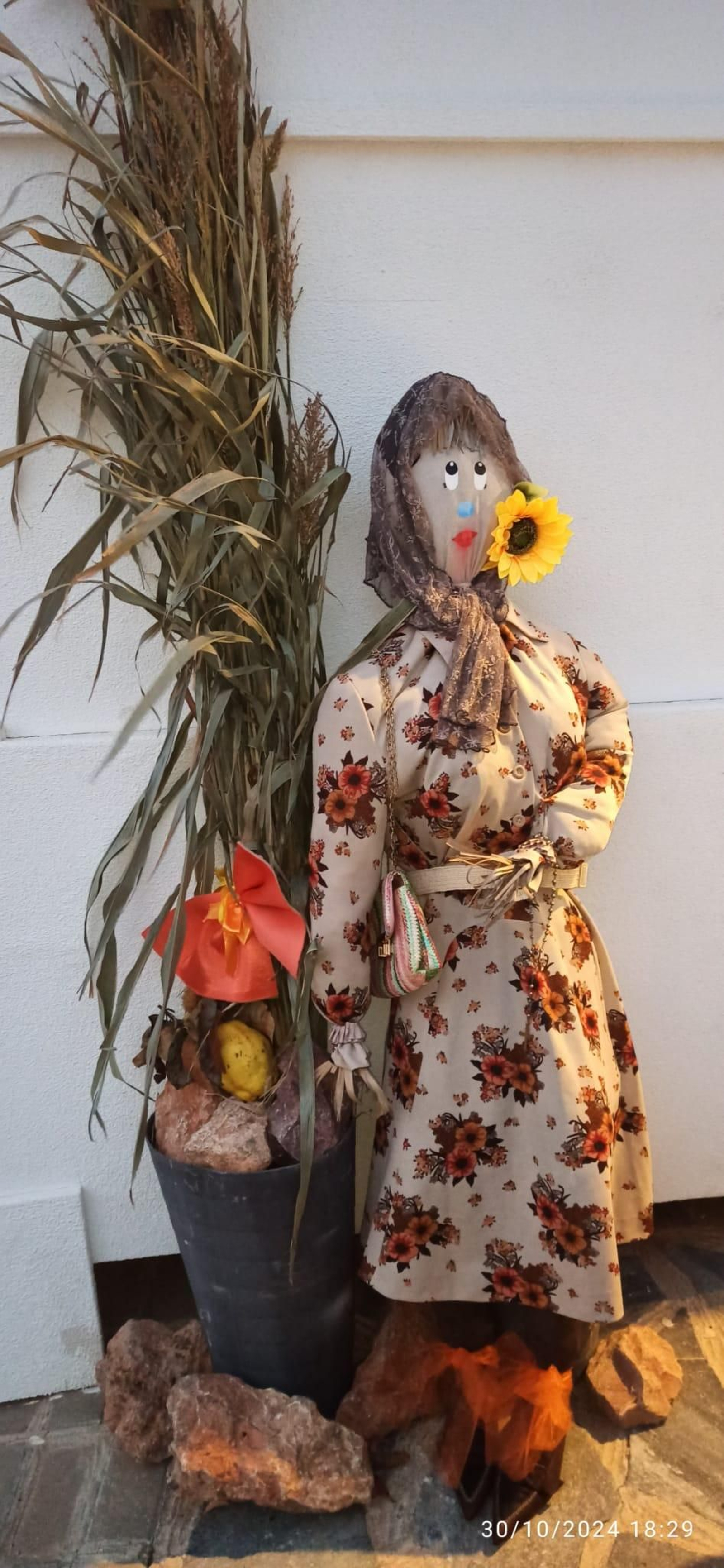 Conoce a los 27 vecinos nuevos que han llegado a vivir a Bacares este otoño