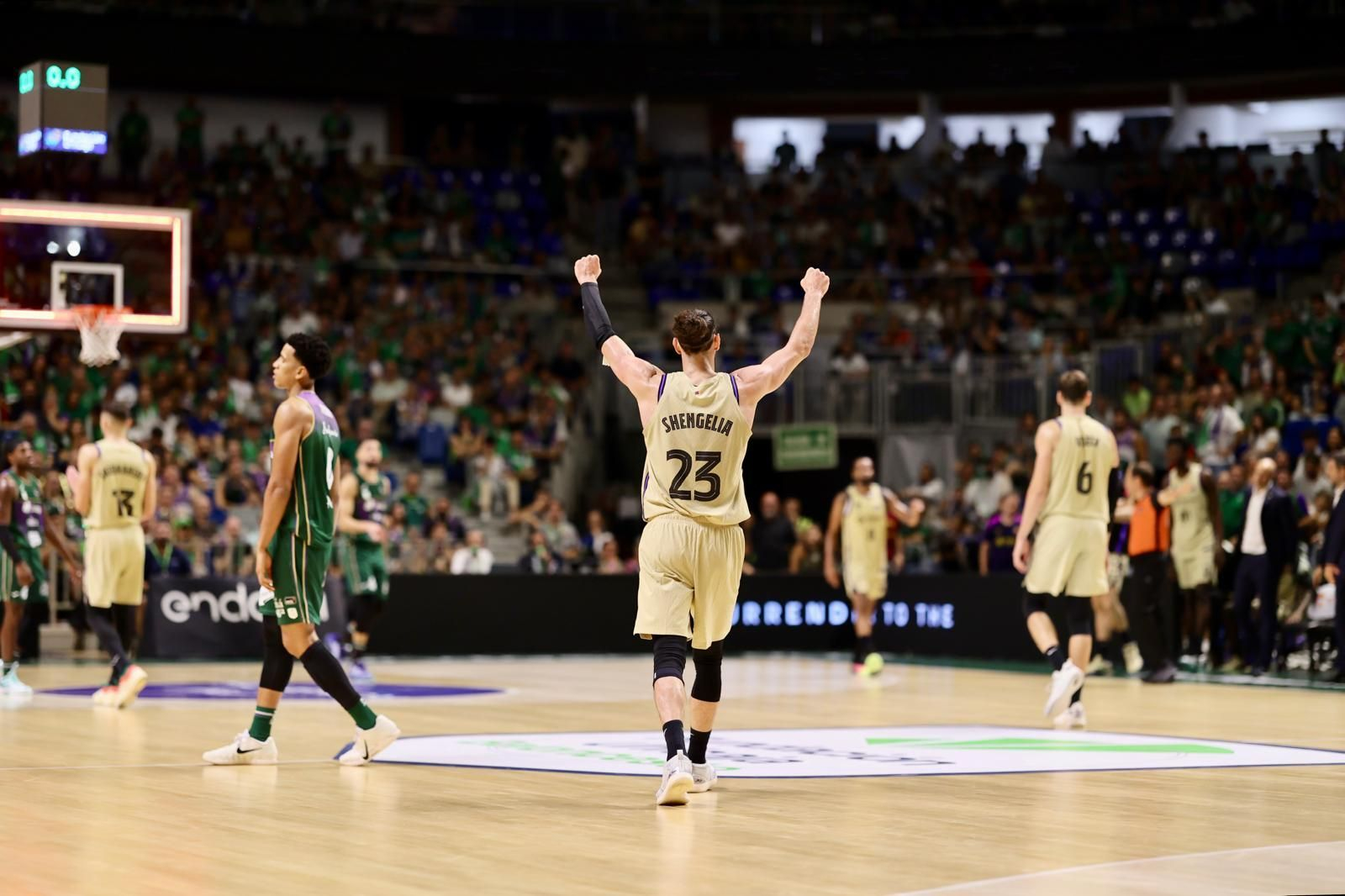 Las fotos del Unicaja-Barcelona