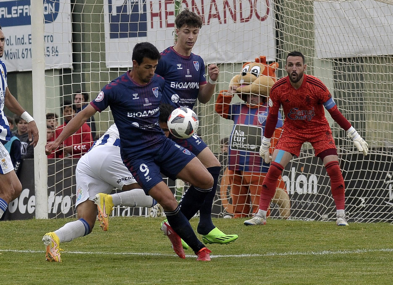 Imágenes del partido entre la Segoviana y el Recre en La Albuera