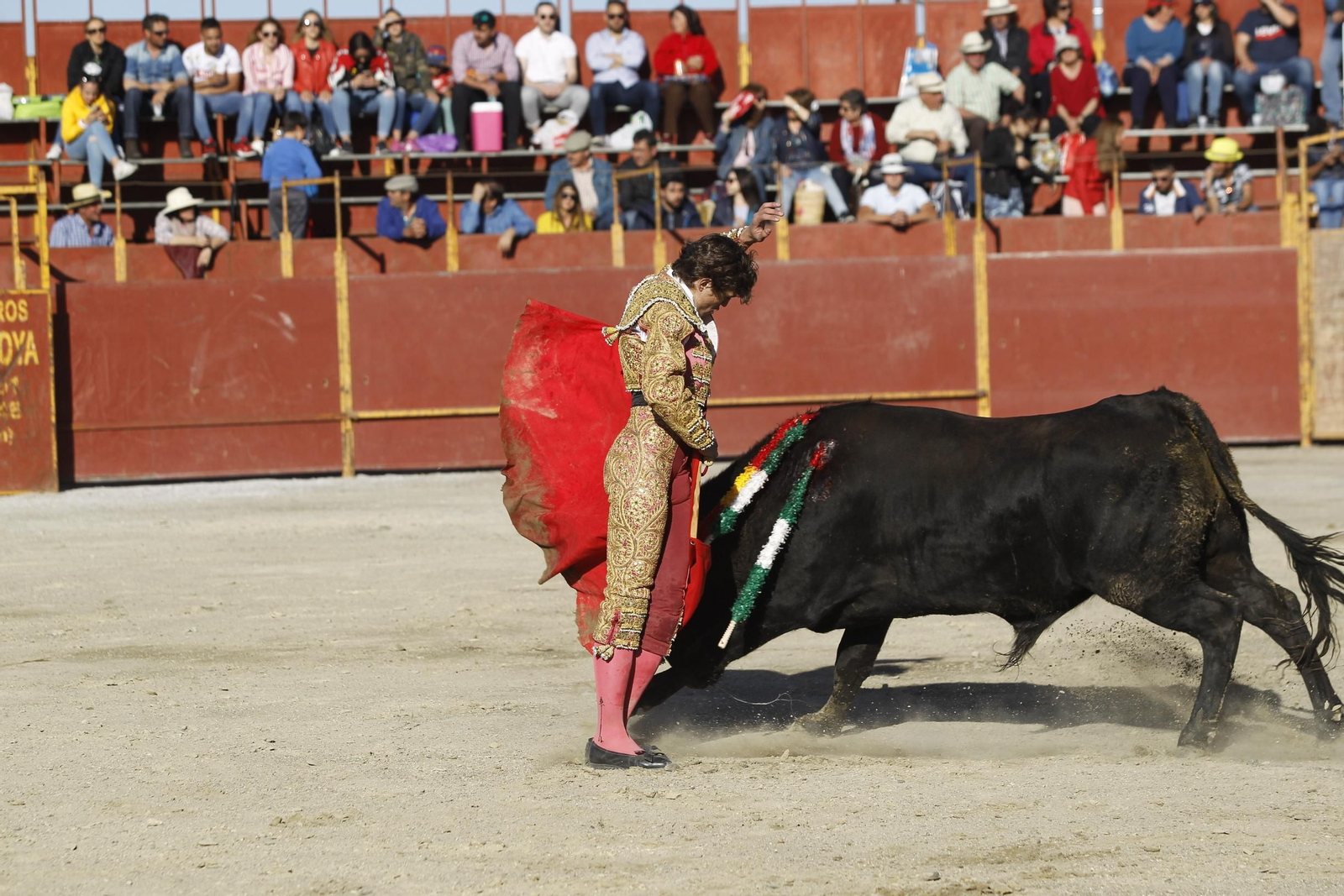 Fotogalería Novillada Fiestas de Abrucena