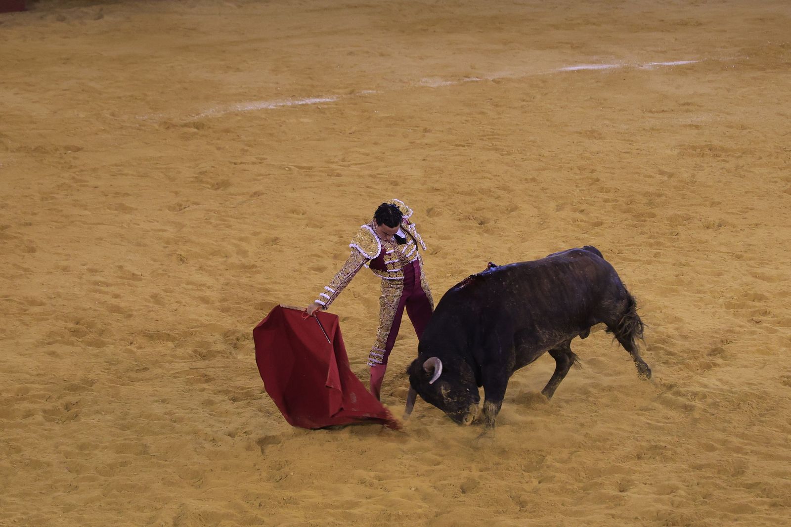 Fotos de la corrida de toros de la Feria de San Roque con David Galván, Román y Joaquín Galdós