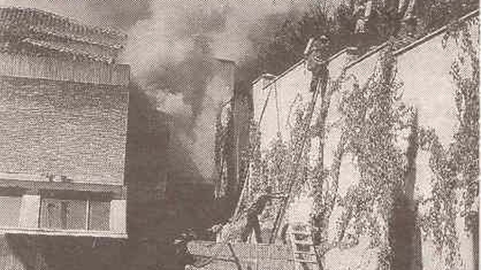 Toda la plantilla de bomberos que estaba en Granada trabajó aquella tarde.