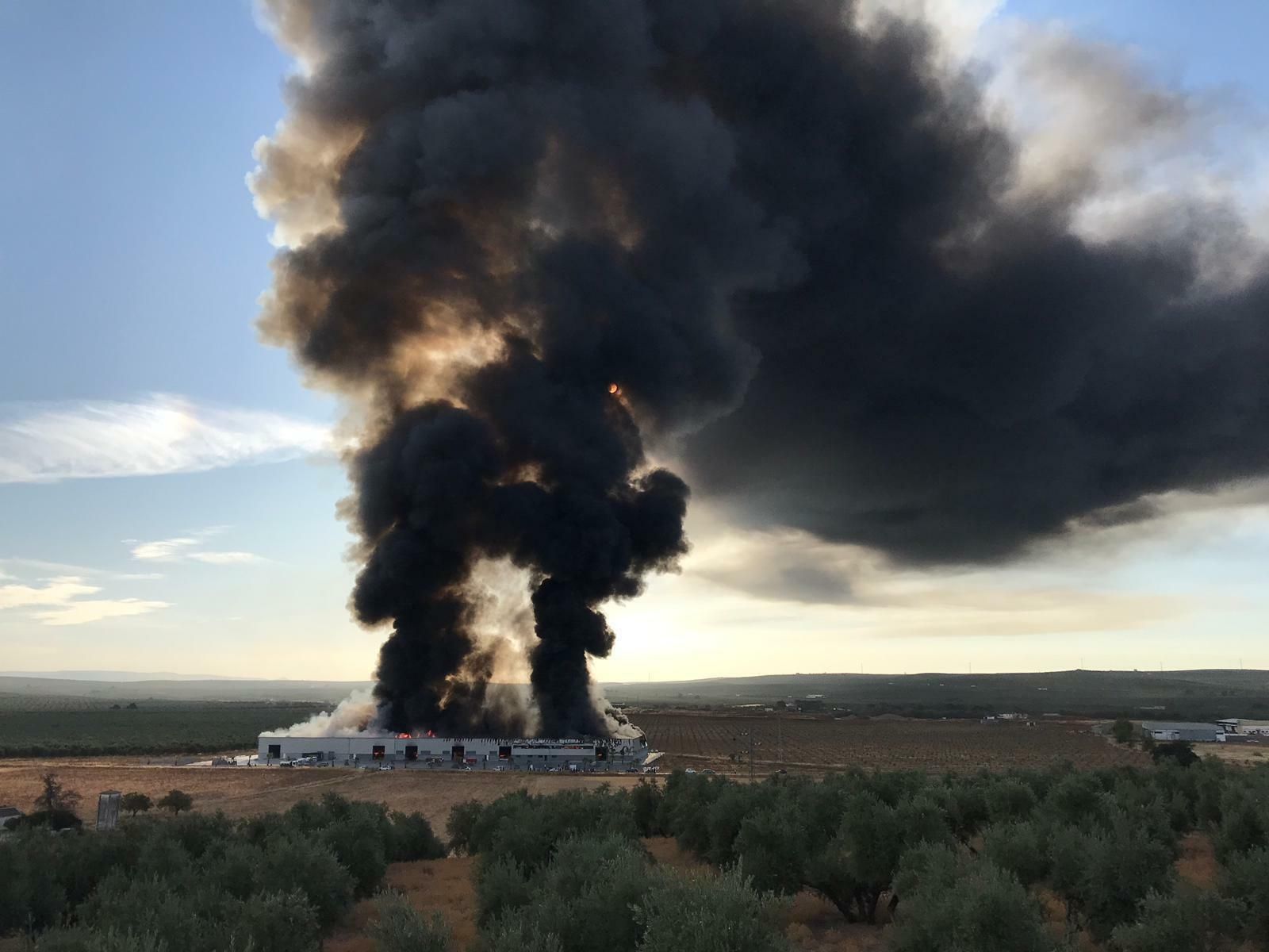 El año que 2019 de Córdoba, en imágenes