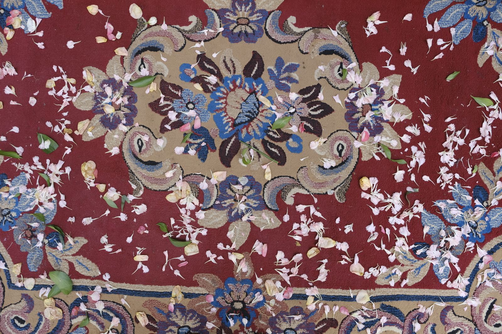 Fotogalería Corpus Christi. Almería