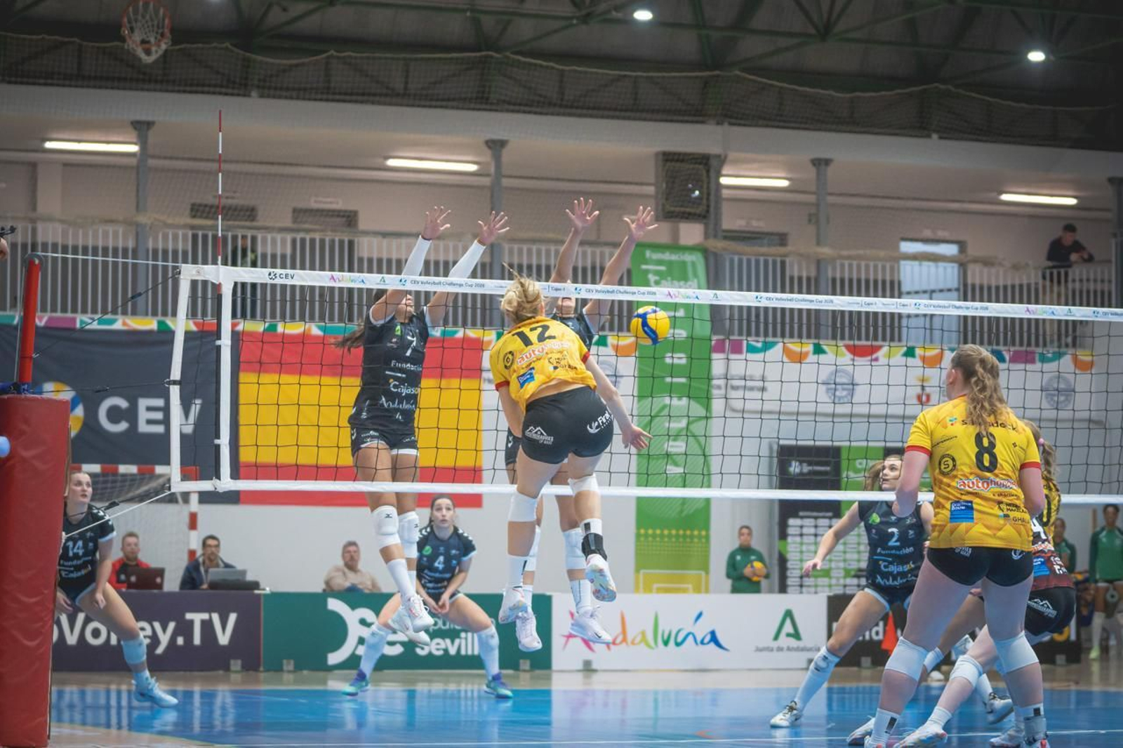 Las fotos del Fundación Cajasol Andalucía-Dynamo Apeldoorn