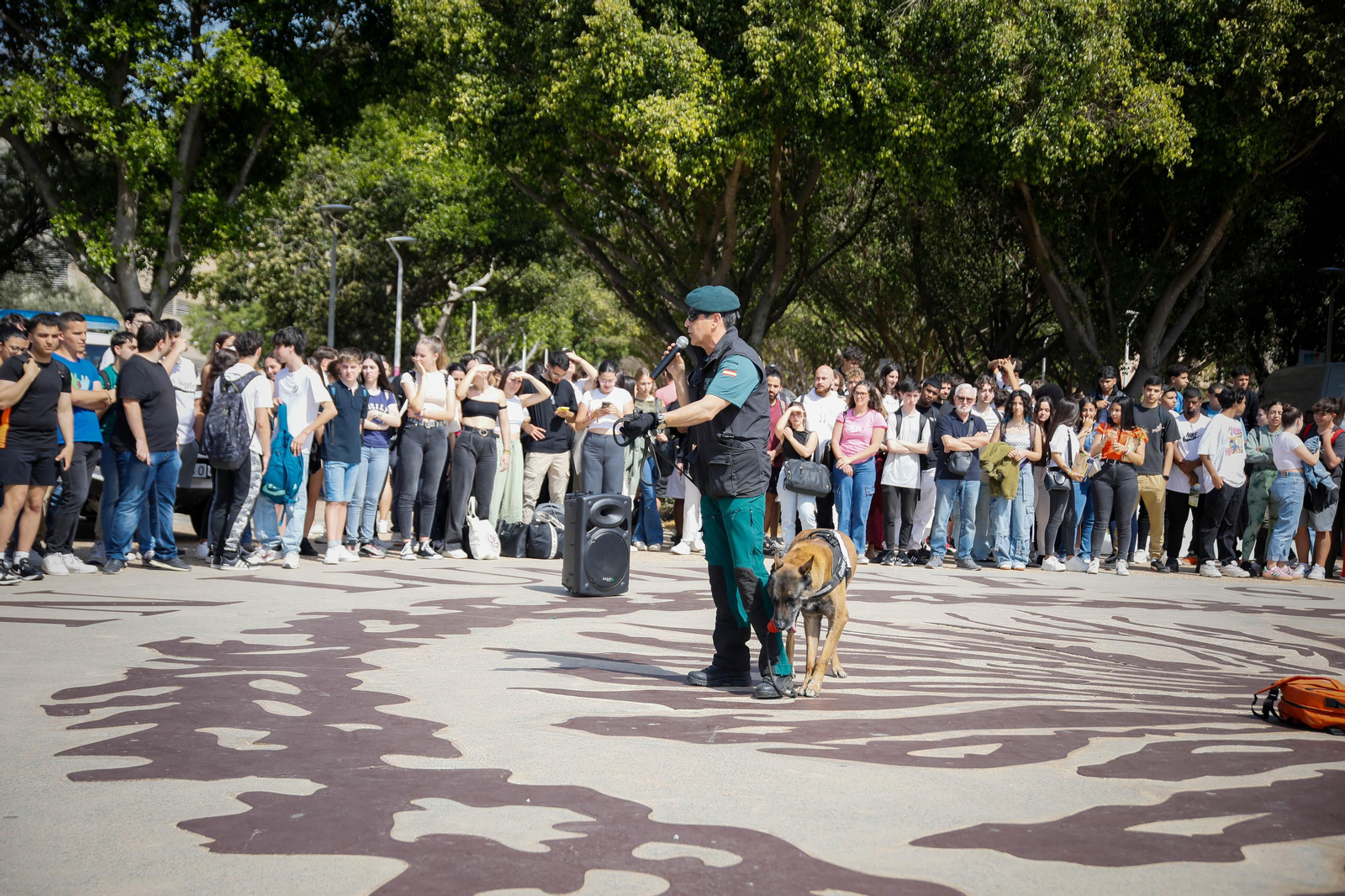 IV edición de la feria Aula de la UAl, en imágenes