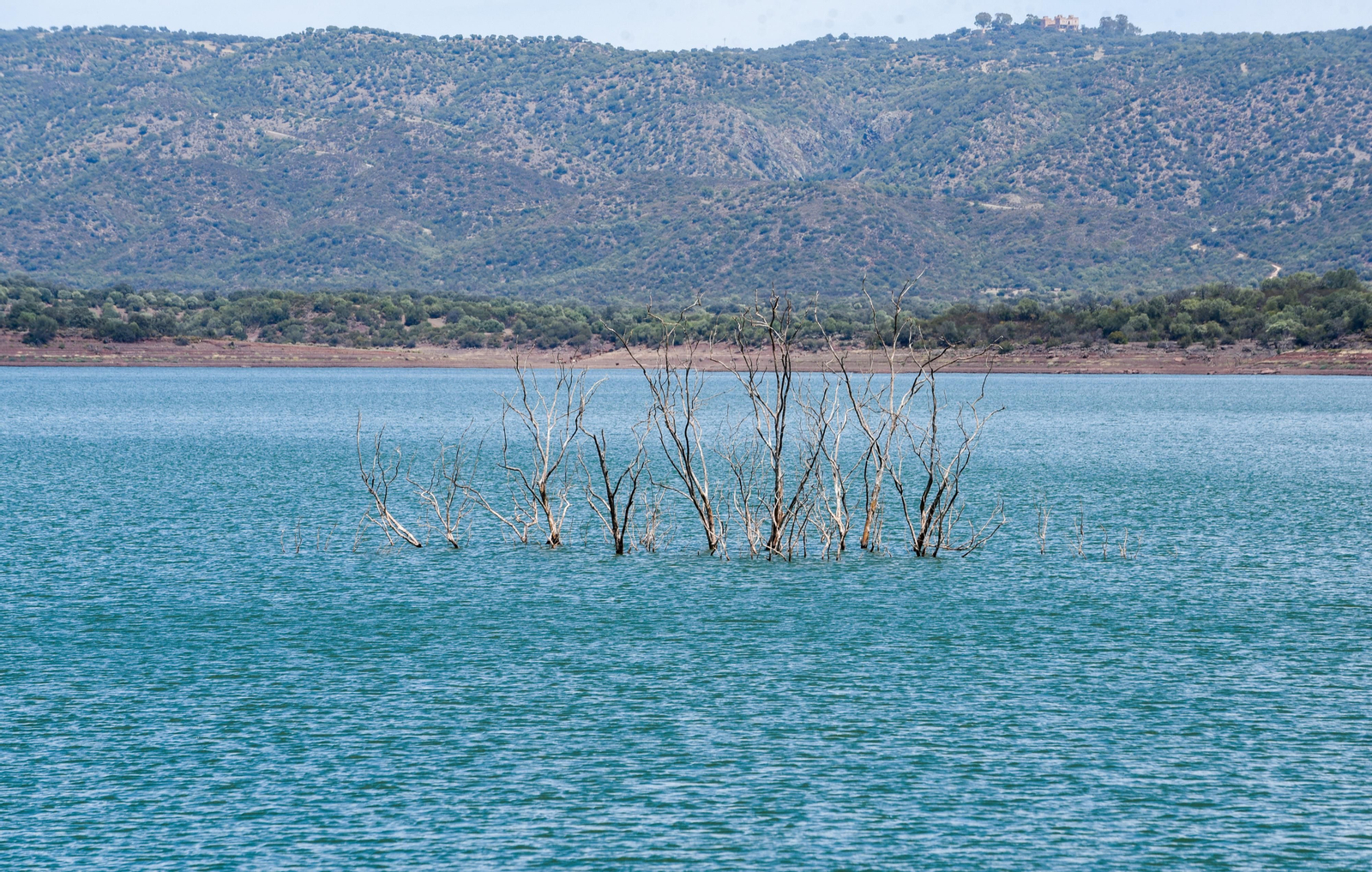 Embalse de Los Melonares