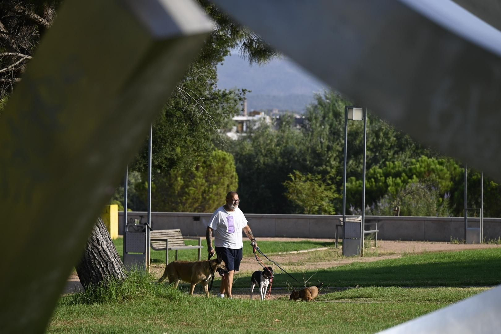 Un día de verano por Miraflores y el Campo de la Verdad