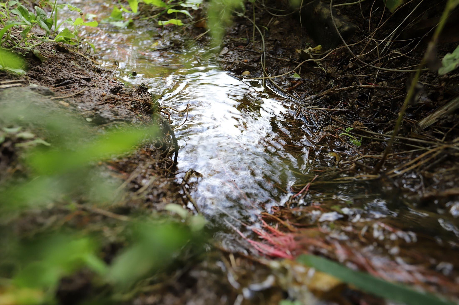 Imágenes del estado de abandono en el que se encuentra la Fuente Vieja y su entorno
