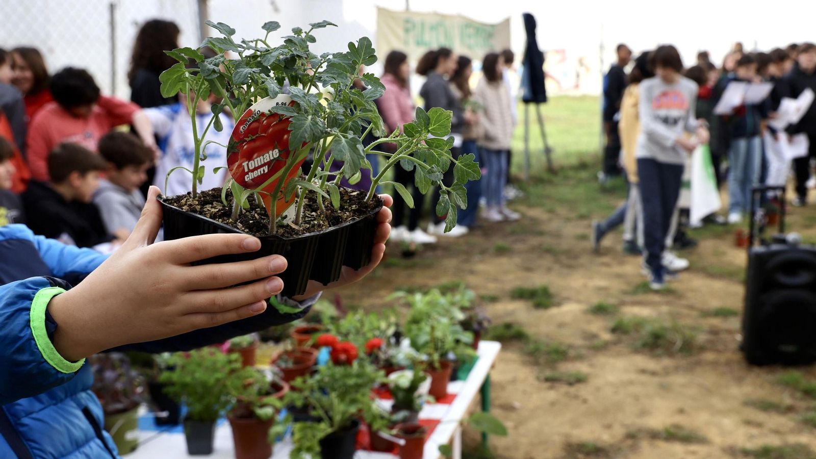 Escolares con macetas en la jornada reivindicativa