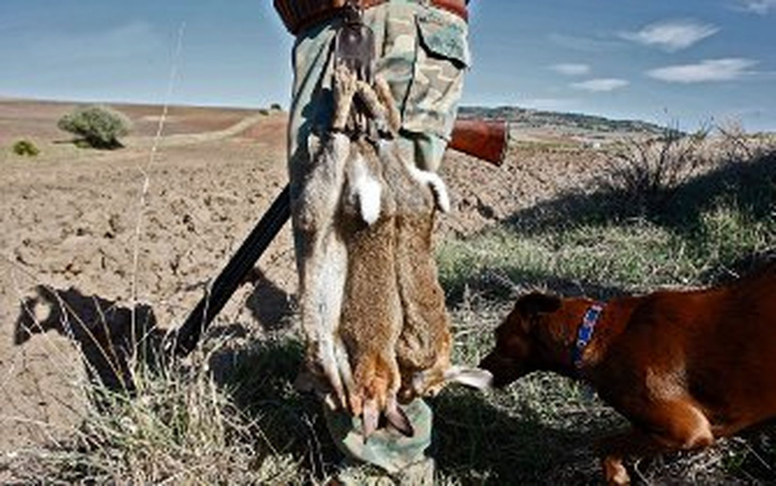 La criba del cazador