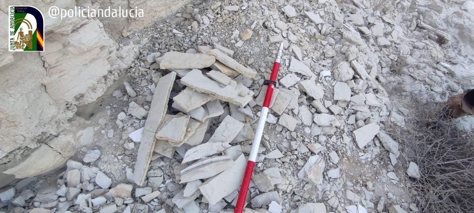 Recuperan en Almería restos paleontológicos de entre 7 y 5 millones de años de antigüedad