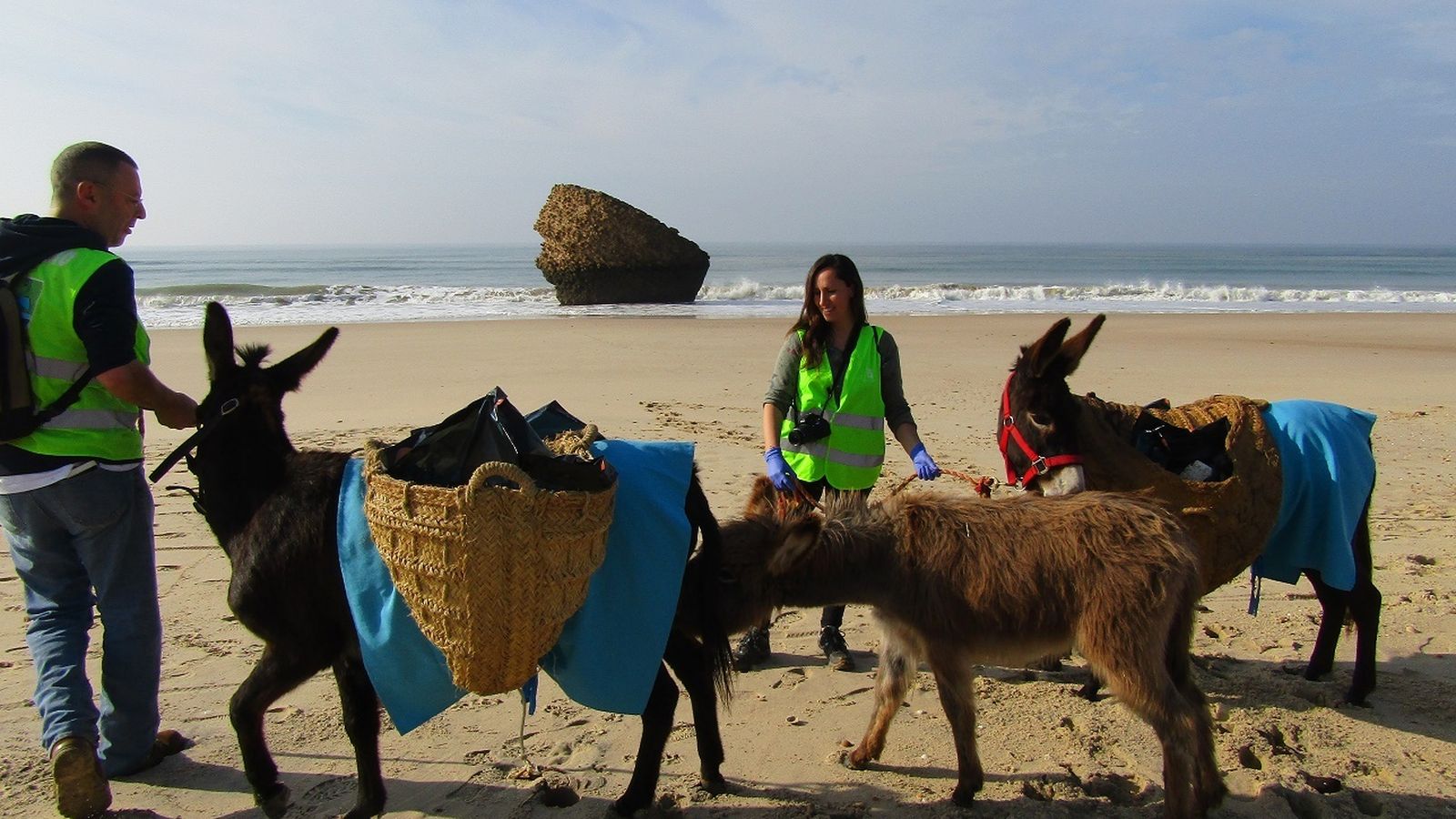 Las burritas Aiona, Ume y Flavia.