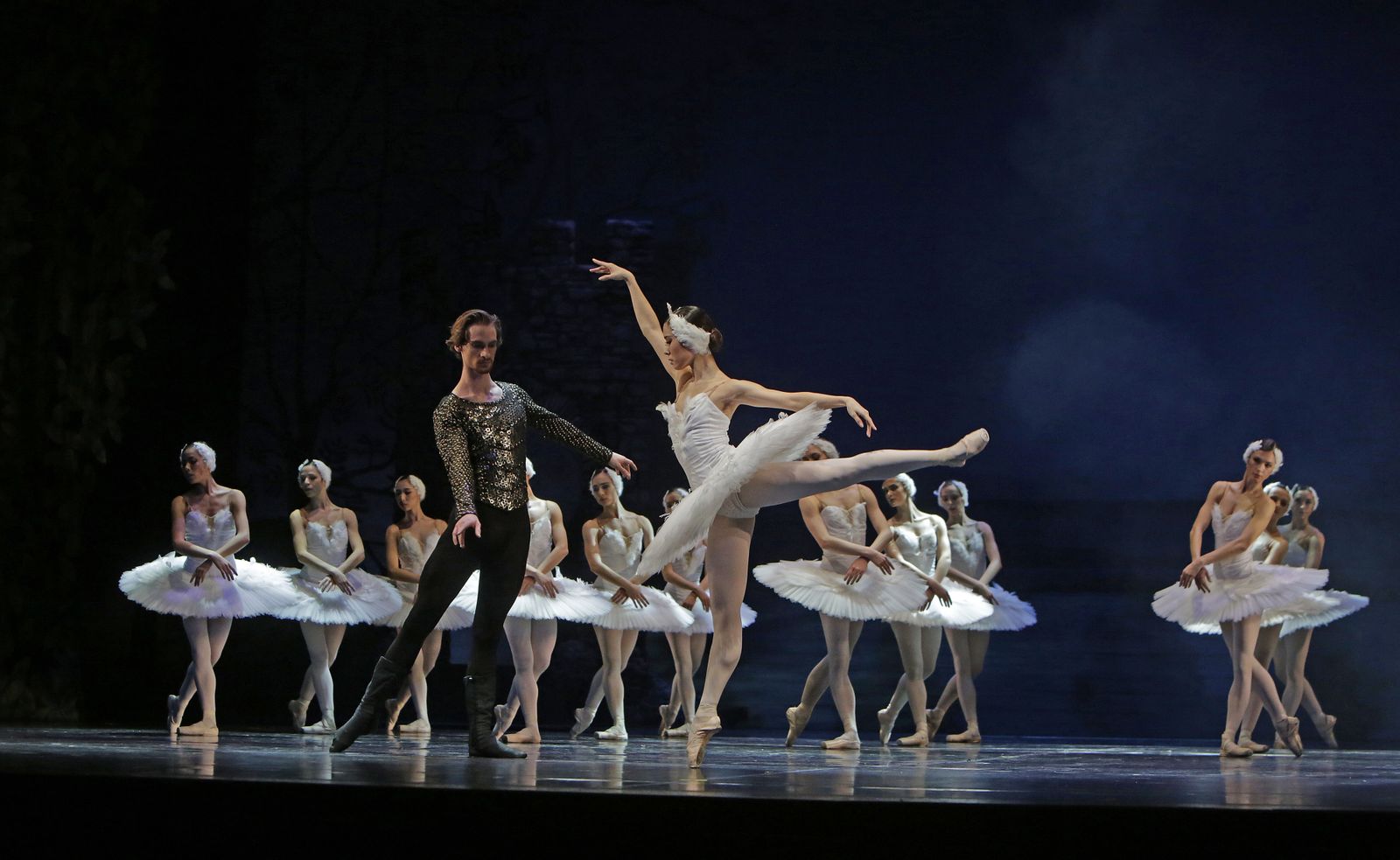 EL LAGO DE LOS CISNES