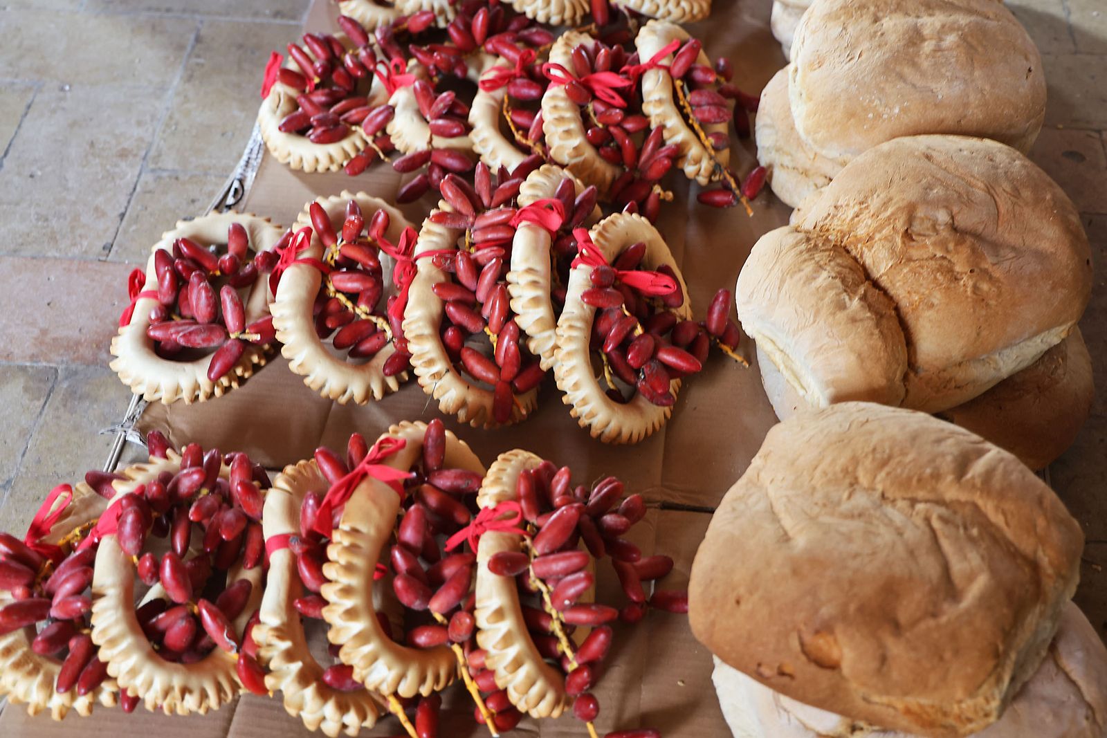 Las mejores fotografías de las Tiradas a San Antonio Abad en Trigueros