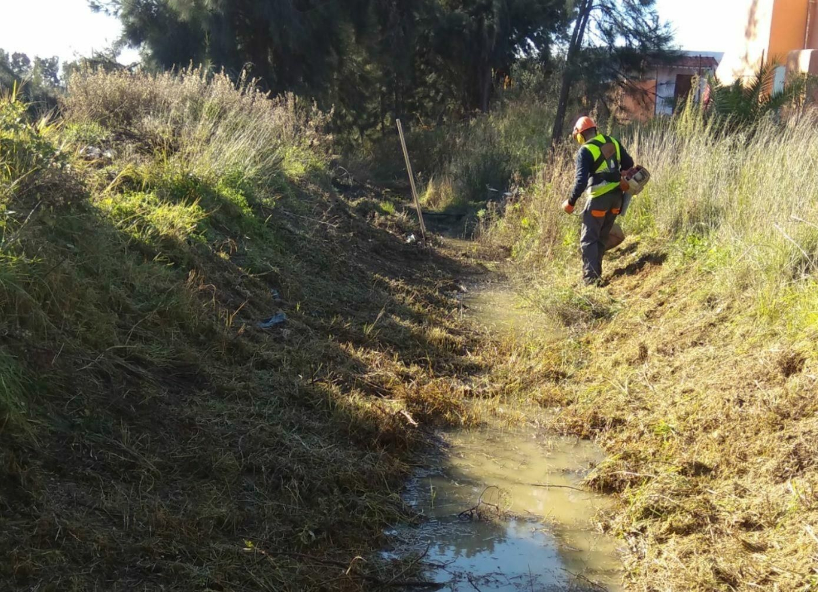 Labores de limpieza de cauces que se han llevado a cabo en la localidad otros años.