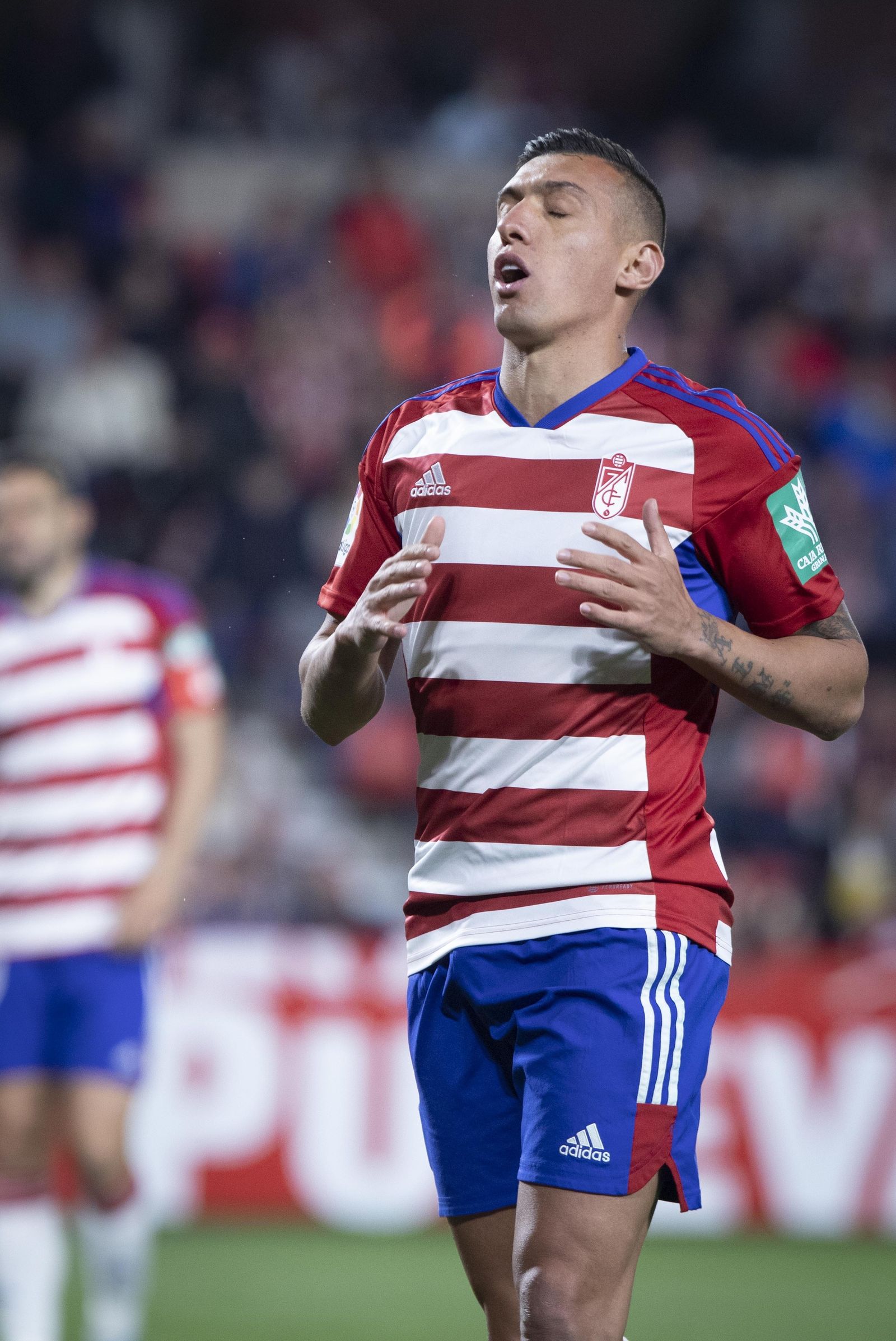 Las mejores imágenes del Granada CF - SD Ponferradina