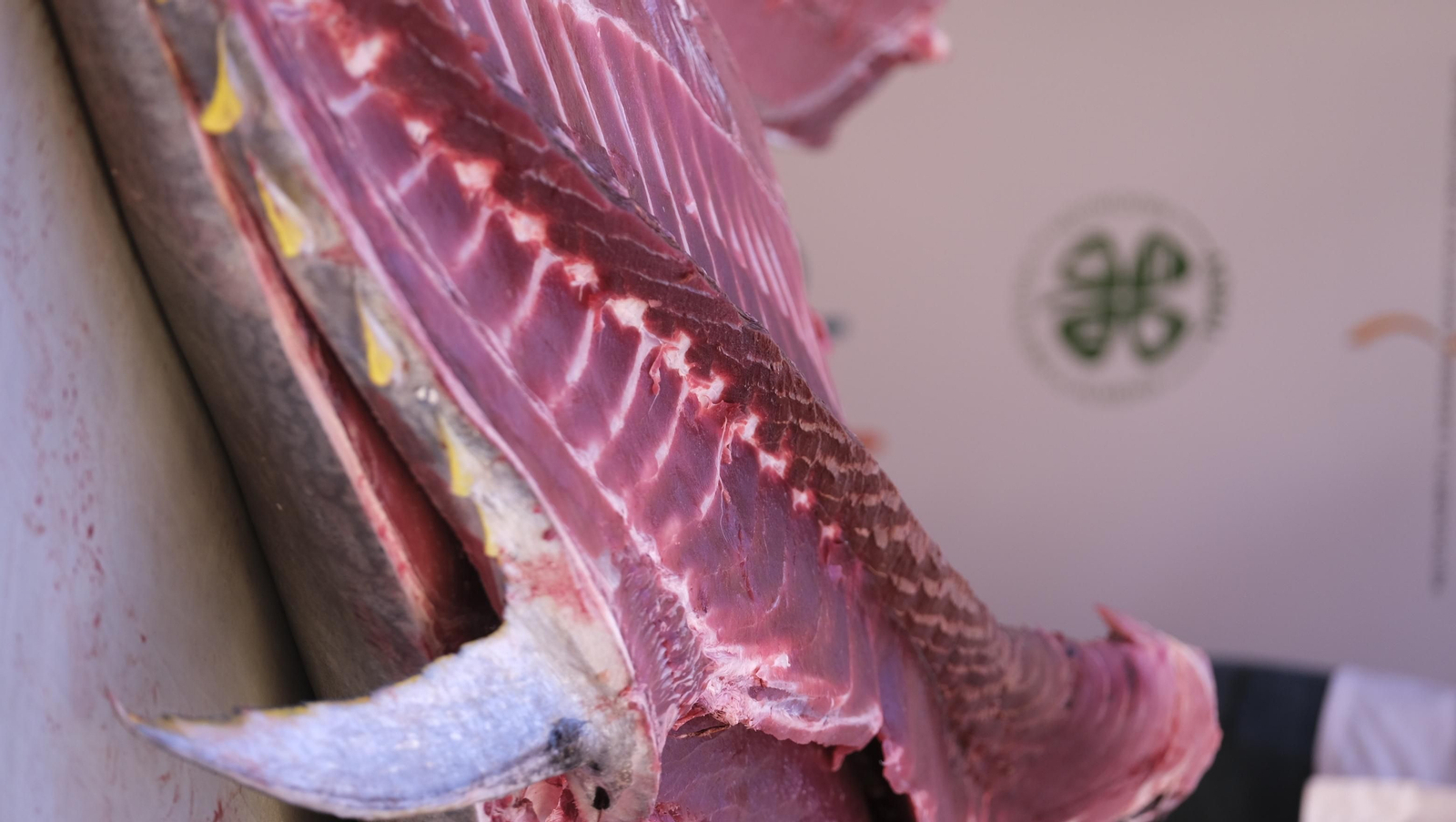 Jornadas del ronqueo del atún de almadraba en el Espacio Gastronómico Tony García, en Almería