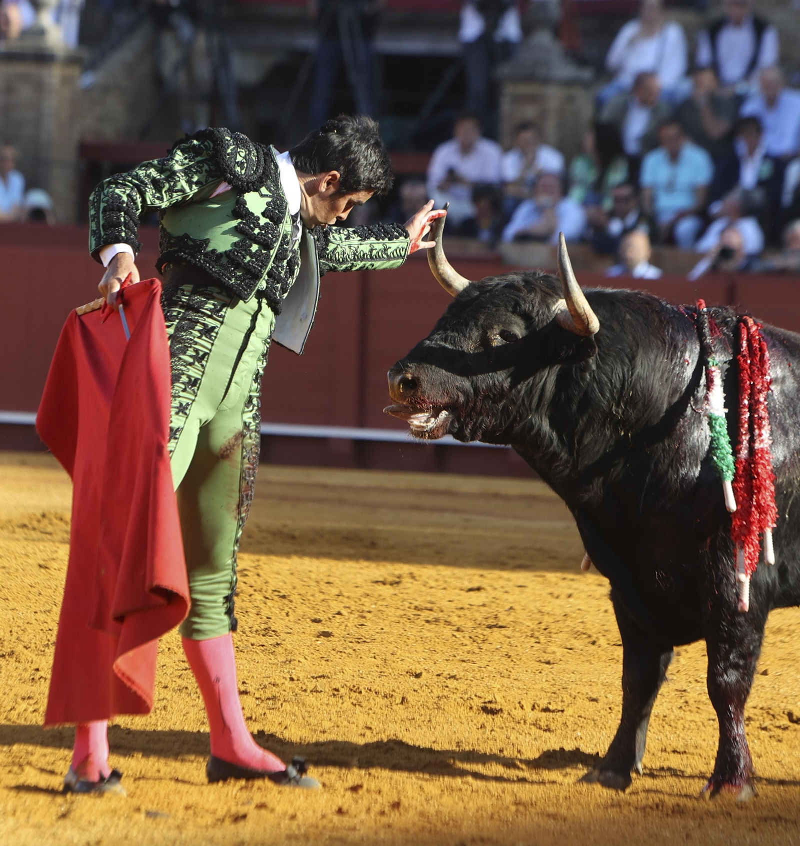Las mejores fotos de la corrida de toros de Miguel Ángel Perera, Paco Ureña y Borja Jiménez