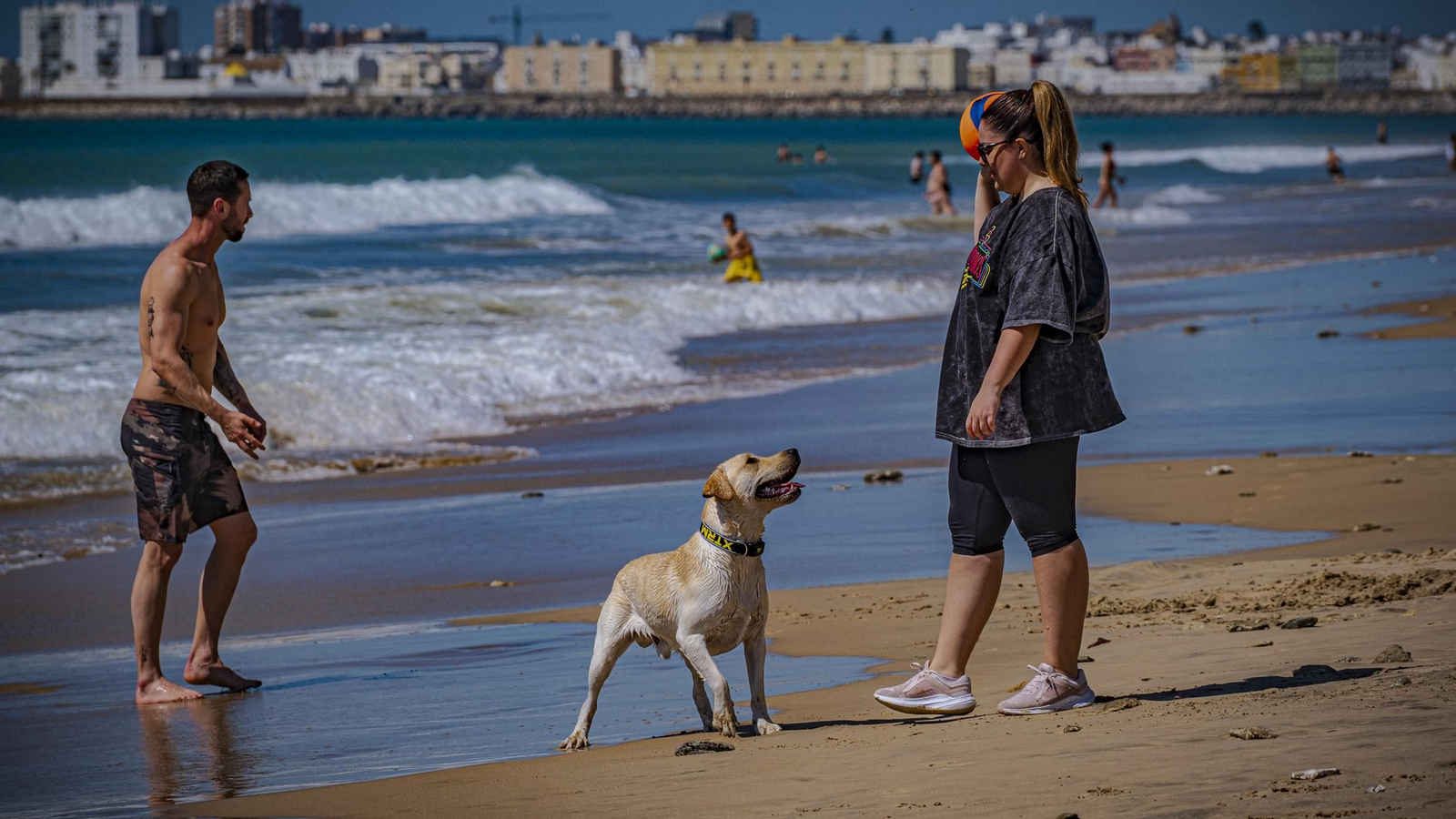 Las imágenes de las mareas vivas en pleamar de las playas de Cádiz