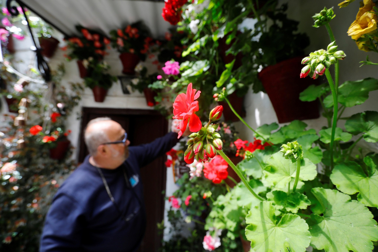 Los últimos preparativos en los Patios de Córdoba para el concurso, en imágenes