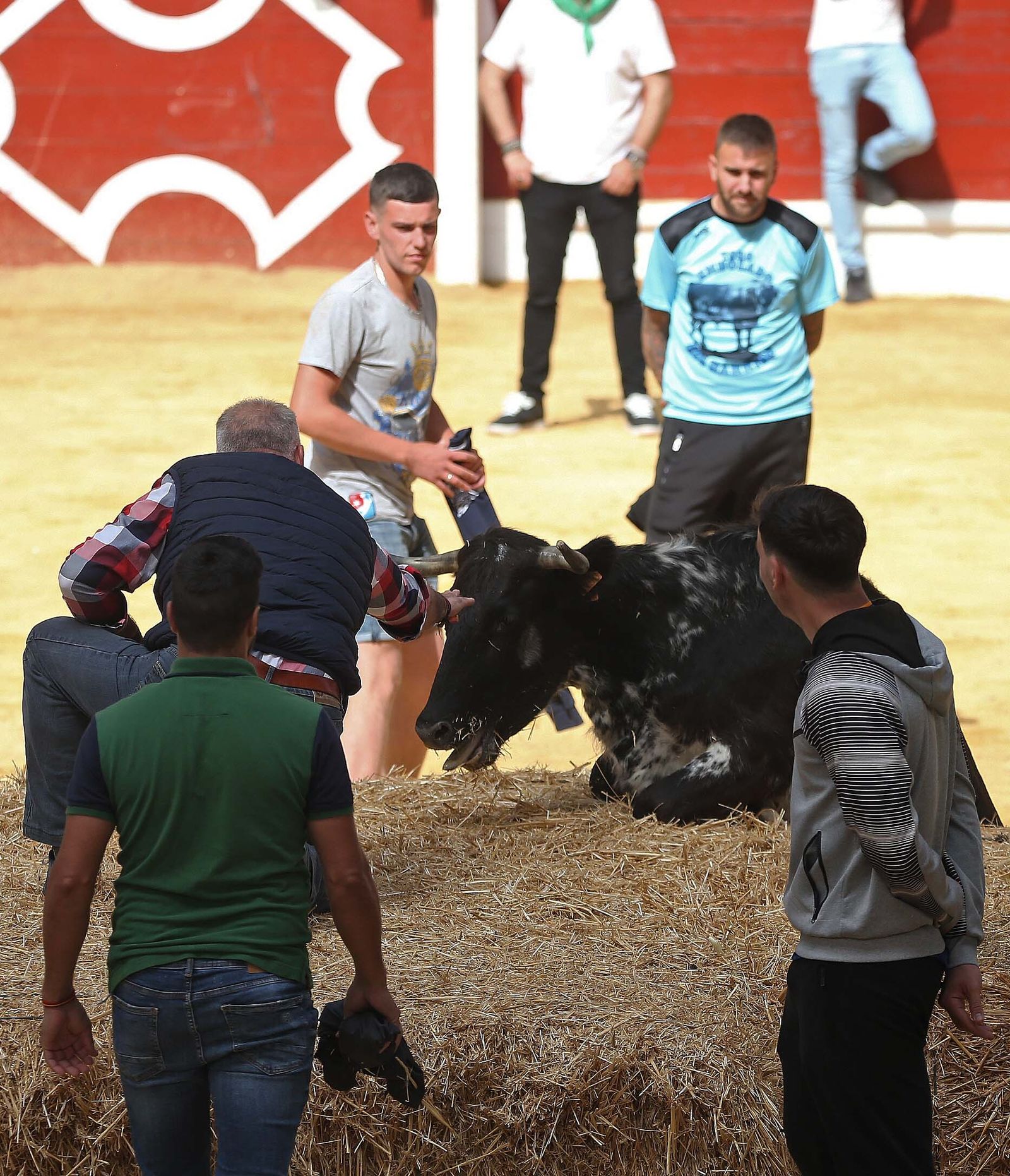 Fotos del Toro Embolao en Los Barrios