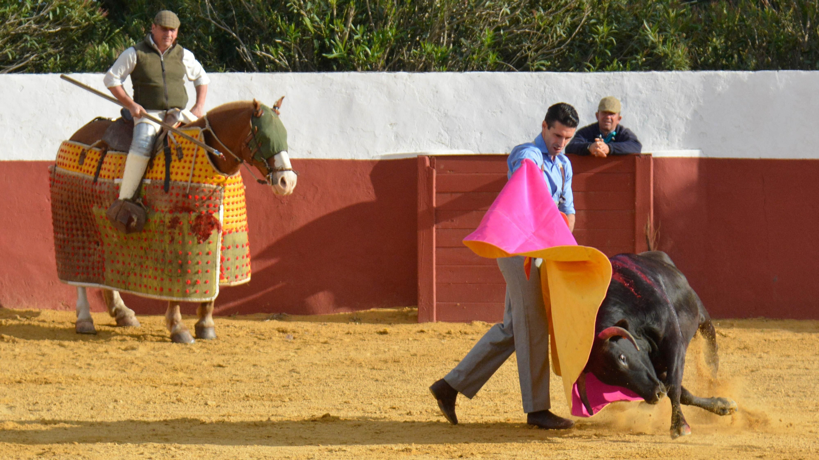 Tentadero con Talavante en la finca La Palmosilla