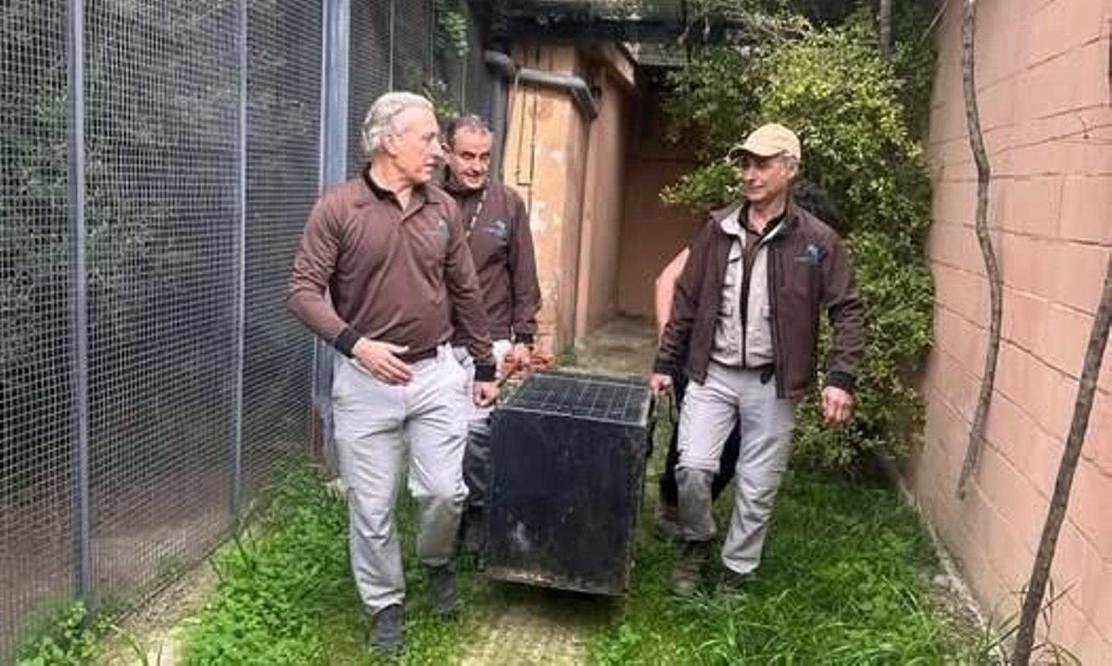Operarios del Zoobotánico de Jerez durante el traslado del lince 'Villamartín'