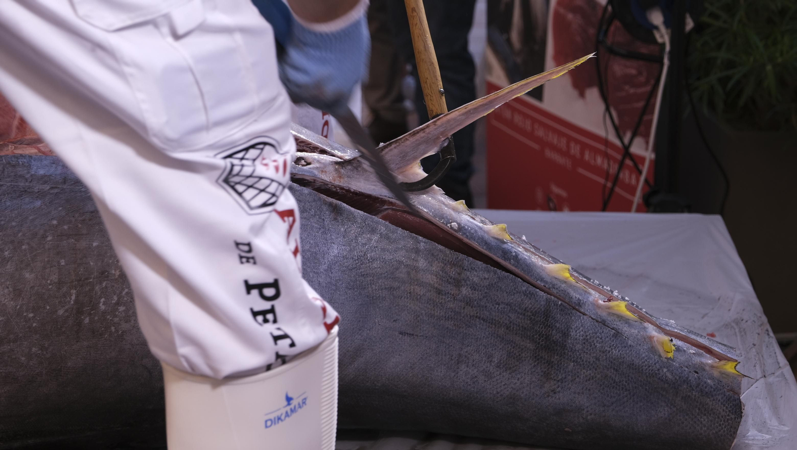 Jornadas del ronqueo del atún rojo de almadraba, en el Espacio Gastrómico Tony García.