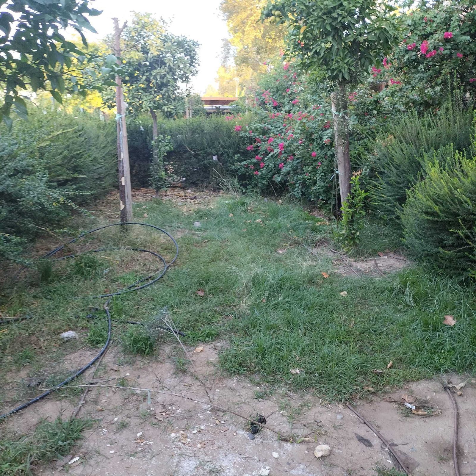 El lugar donde vivía el okupa en el Muelle de Nueva York está ya libre de enseres.