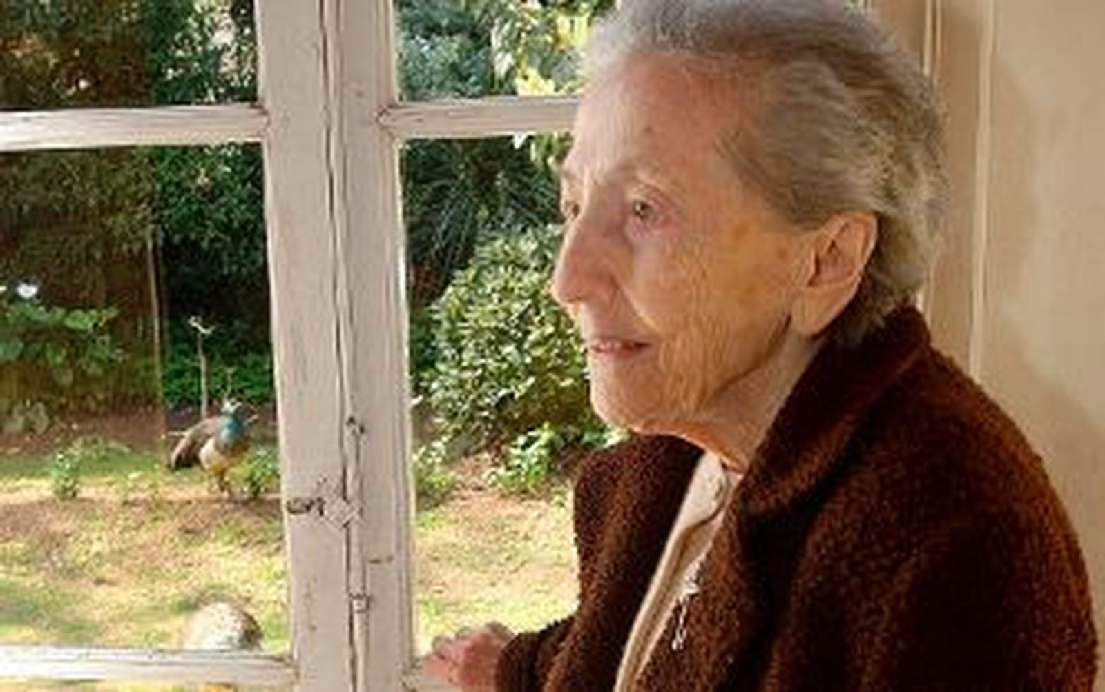 "Lo del parque escénico es una 'joya robada'. Sufrí tanto..."