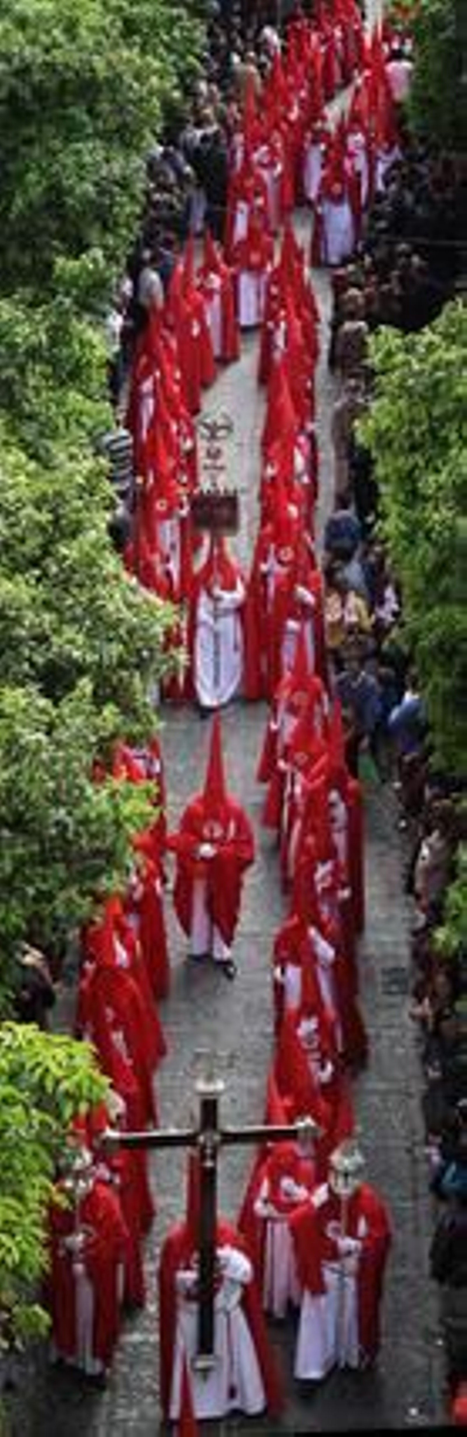 Filas rojiblancas. Formación de la Hermandad de La Cena a su bajada por la plaza de San Marcos.

Foto: Miguel Ángel González
