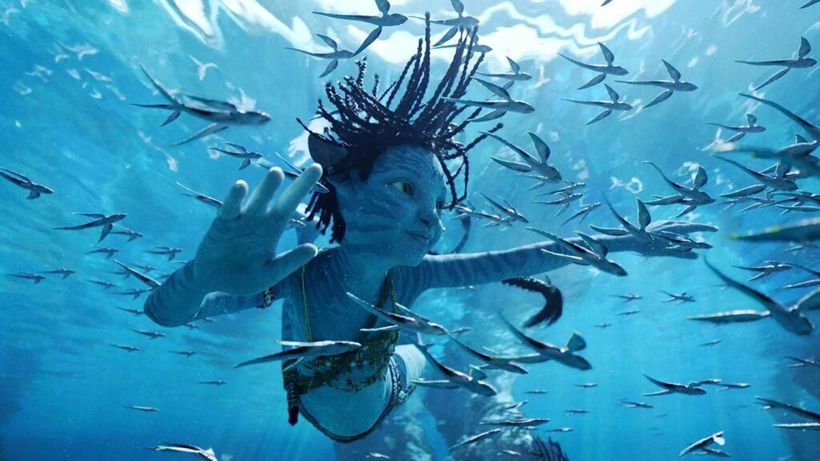 AVATAR: EL SENTIDO DEL AGUA Dónde ver todas las películas nominadas a los 'Oscars': Plataformas y cines en Málaga