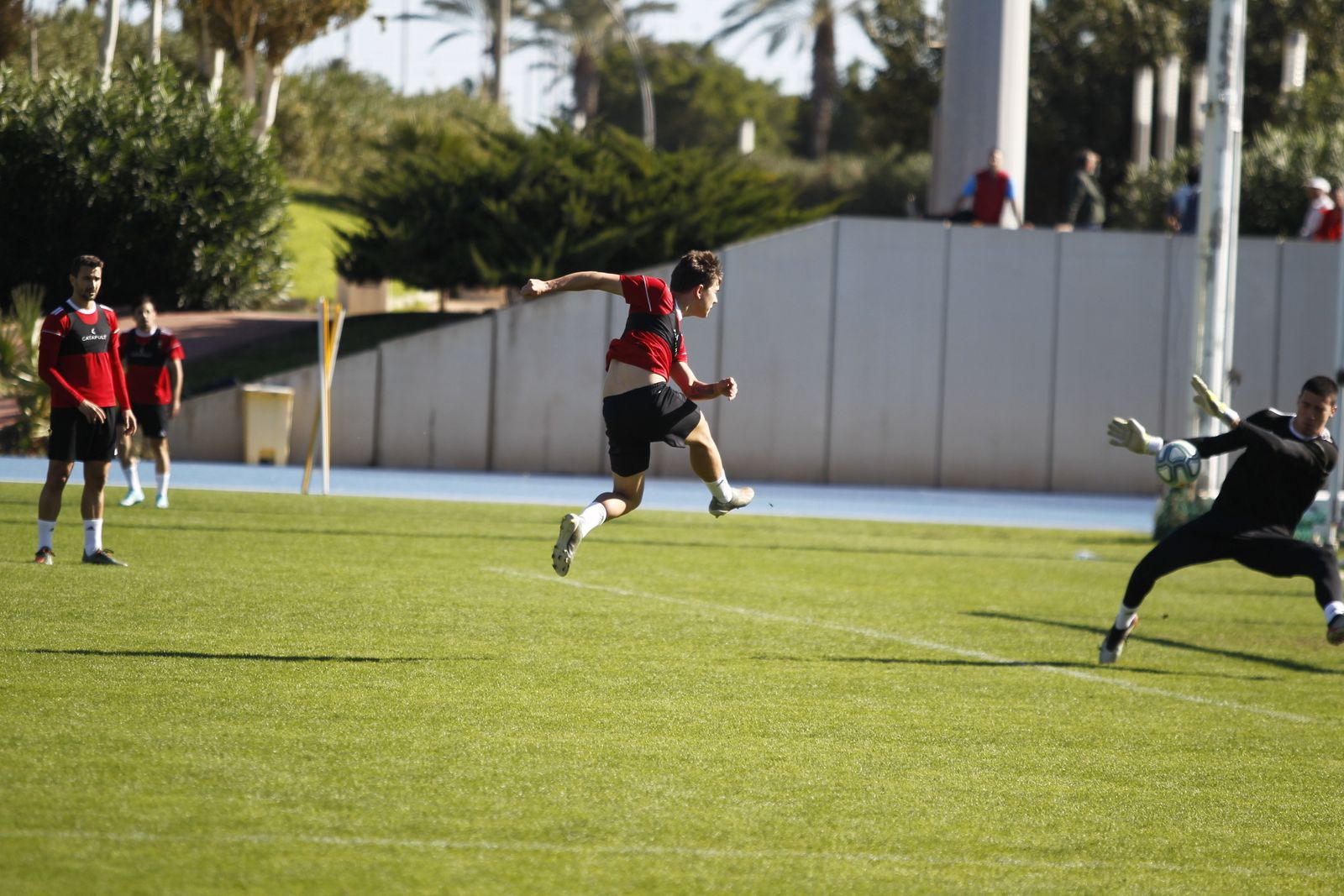 Fotogalería del entrenamiento del Almería 7-XI