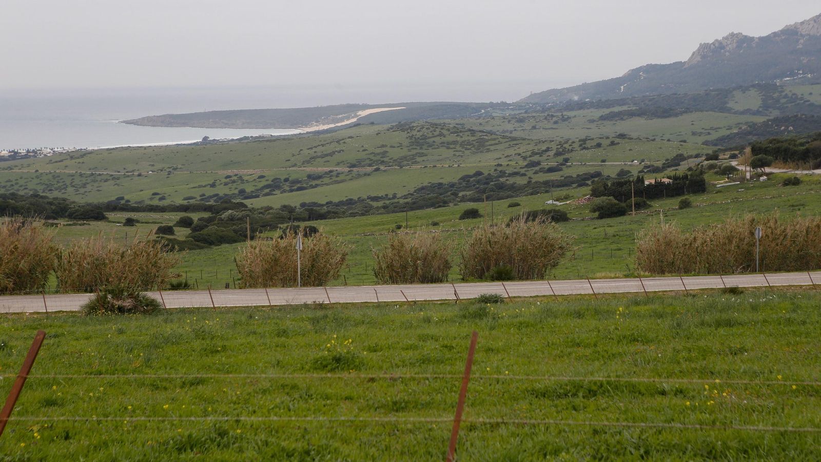 La zona conocida como El Lentiscal, en Bolonia, que Endesa ha vendido a Altanea recientemente. La zona conocida como El Lentiscal, en Bolonia, que Endesa ha vendido a Altanea recientemente.