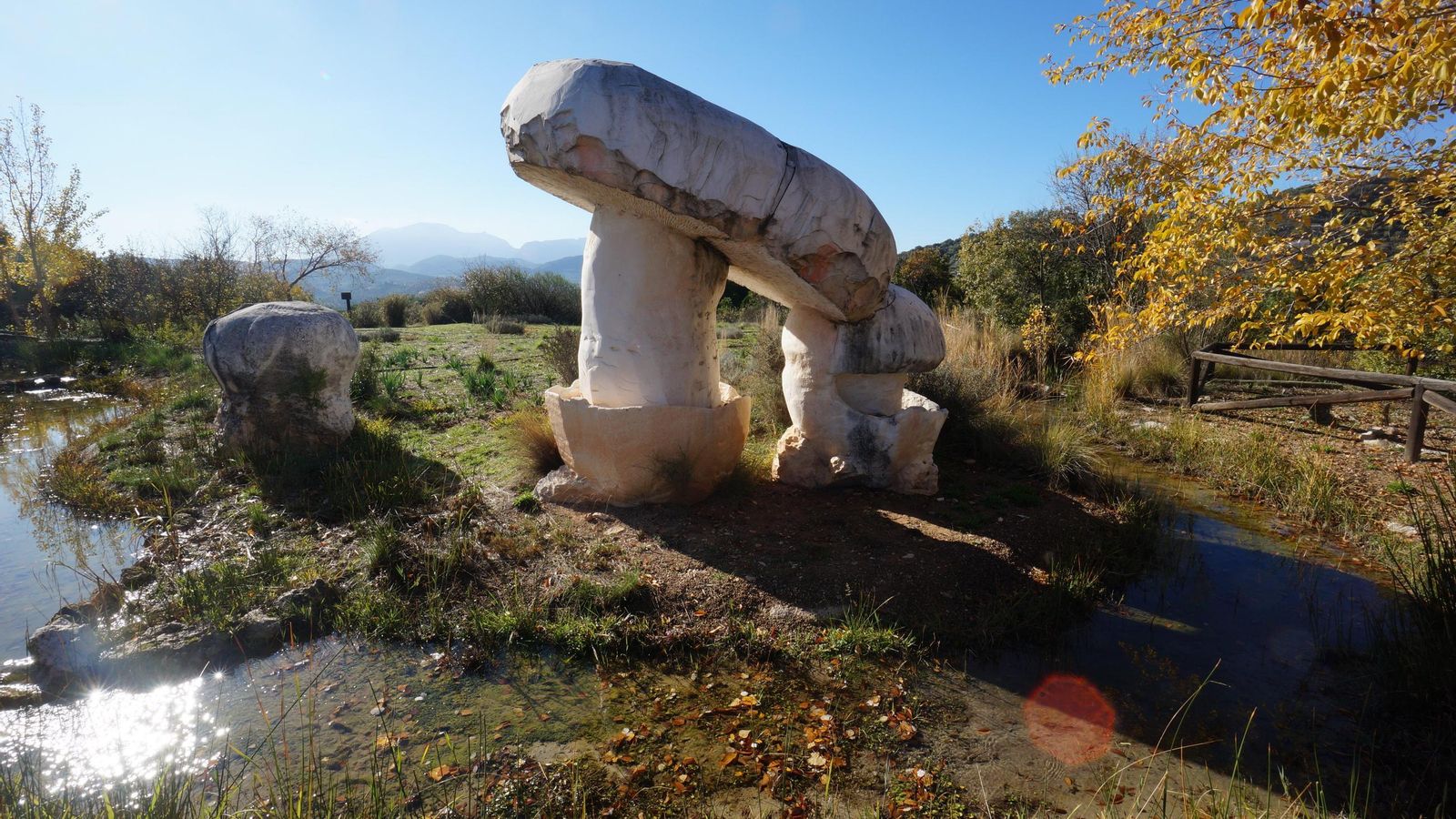 Una seta gigante en el jardín La Trufa.