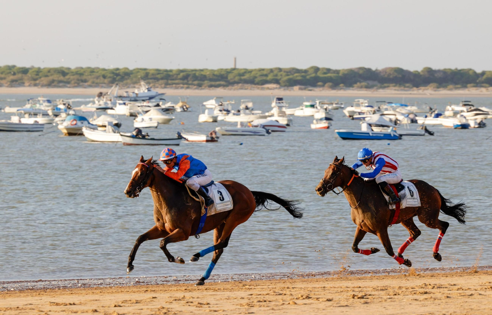 Imagen de la segunda jornada del ciclo final de las Carreras de Caballos de Sanlúcar 2025