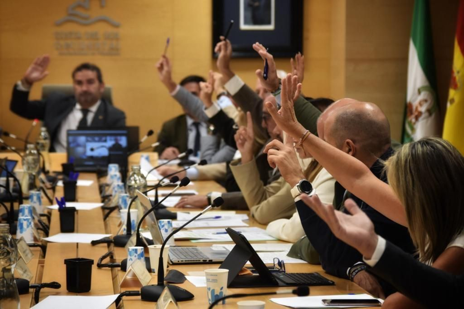 La Asamblea de la Mancomunidad celebrada este viernes.