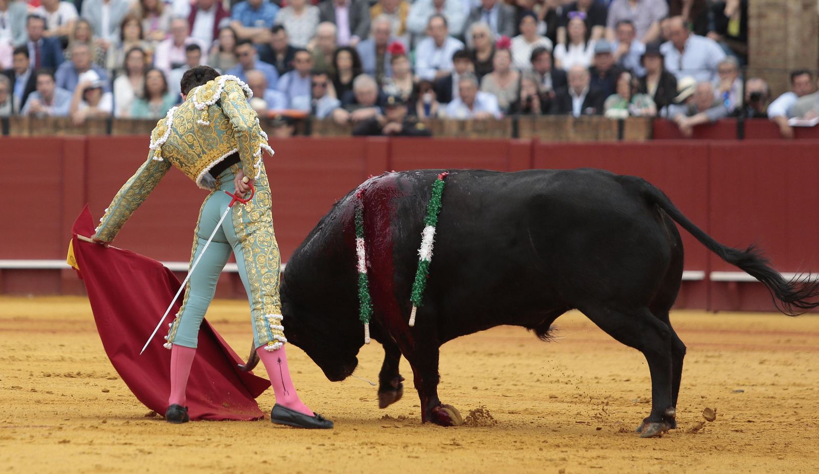 Las imágenes de la duodécima de abono de la Maestranza