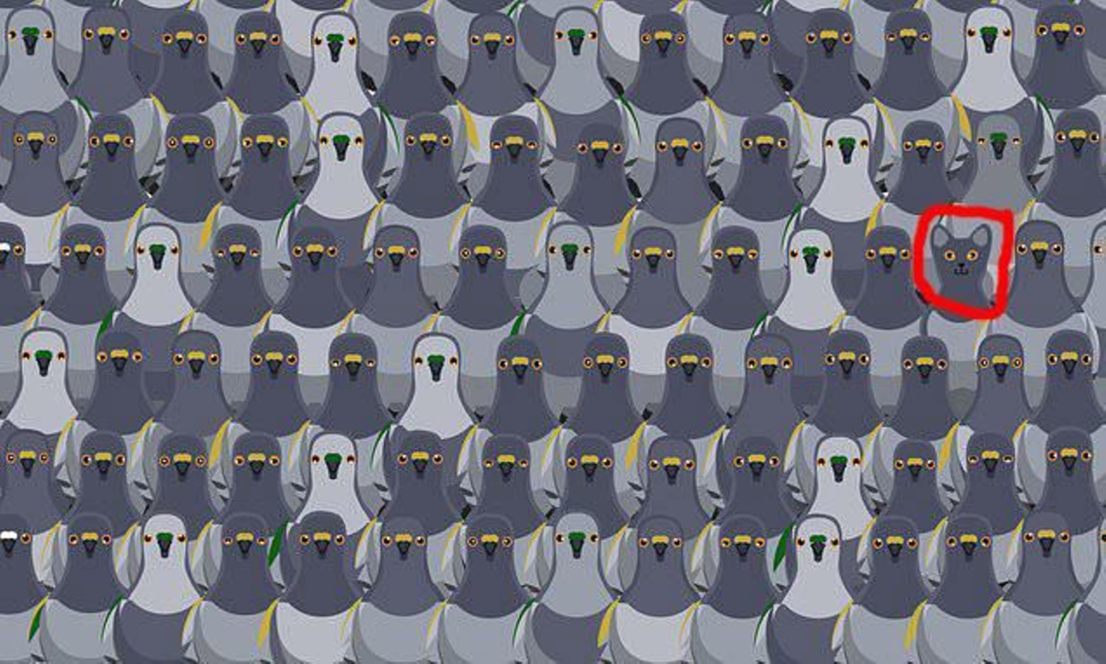 Por si no encontraste el gato: aquí está