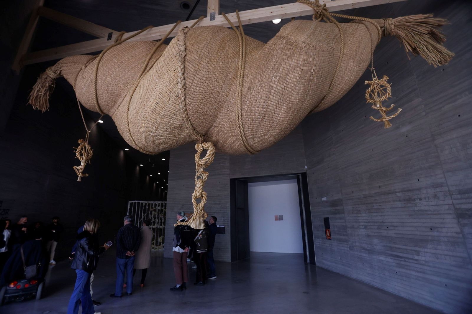 Las imágenes de las nuevas exposiciones del C3A