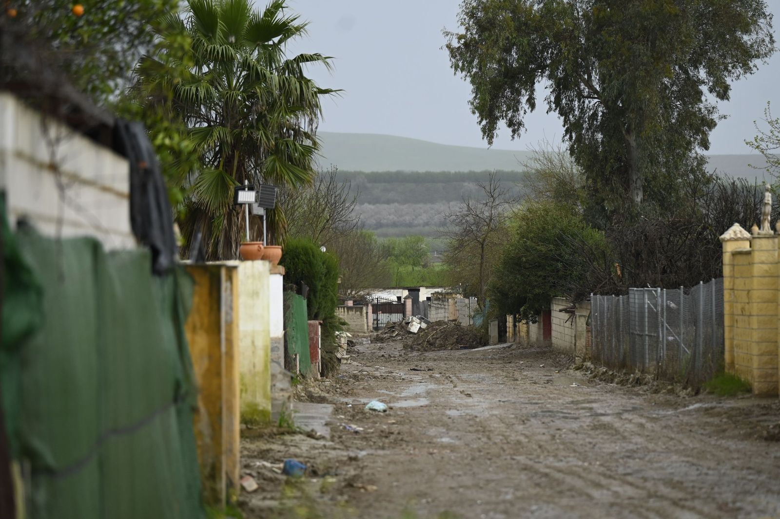 Parcelas de Guadalvalle siguen anegadas por el barro un mes después de las inundaciones