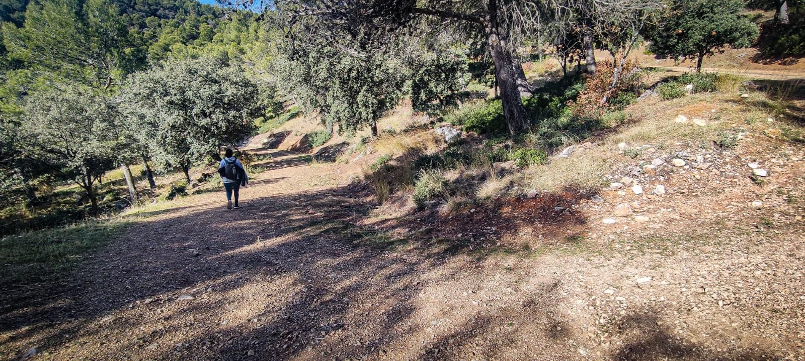 Ruta de senderismo con vistas a Sierra Nevada y la Sierra Sur: subida a la cumbre de Puerto Alto desde la Cañada de las Hazadillas